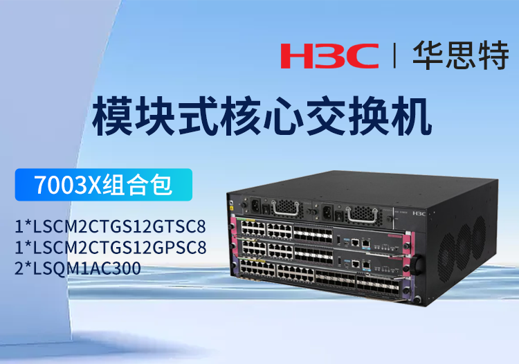 華三H3C S7003X 16千兆光口+16千兆電口套包 LS-7003X多業(yè)務(wù)企業(yè)級(jí)網(wǎng)絡(luò)核心路由交換機(jī) 標(biāo)準(zhǔn)版光電組合套裝